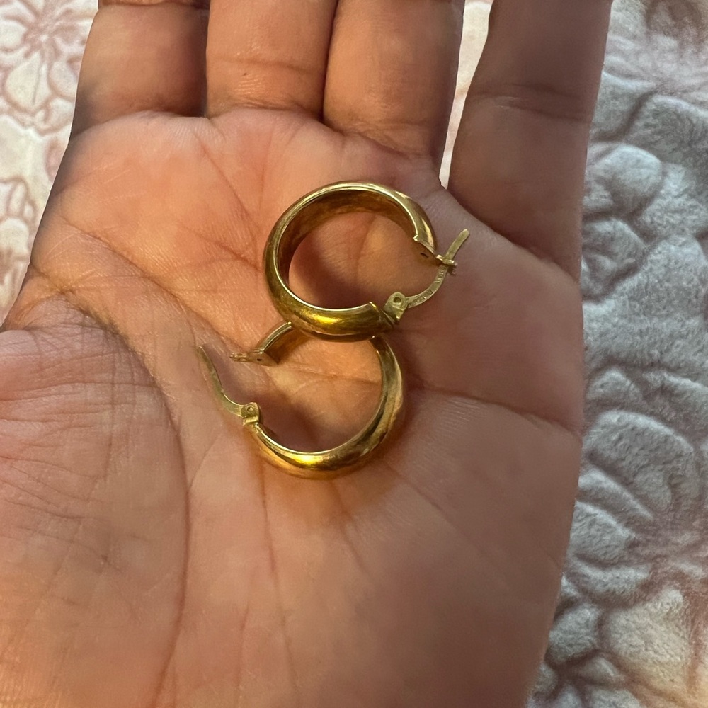 Elegant Gold Hoop Earrings